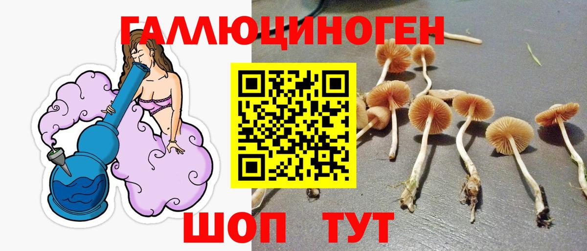 Псилоцибиновые грибы GOLDEN TEACHER  Вход с VPN  Джанкой 