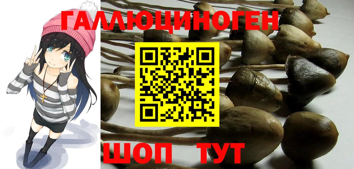 Псилоцибиновые грибы мицелий Джанкой